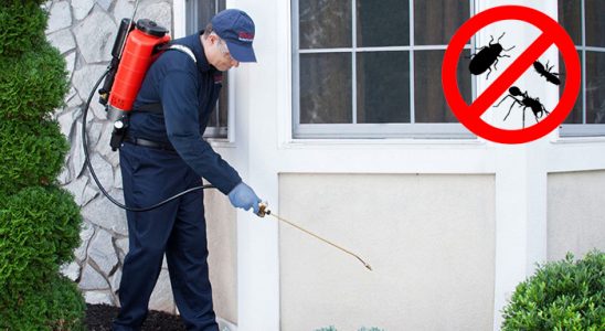 Aydın Bit İlaçlama böcek ilaçlama ve haşere kontrolü — ilaclama-tr.com